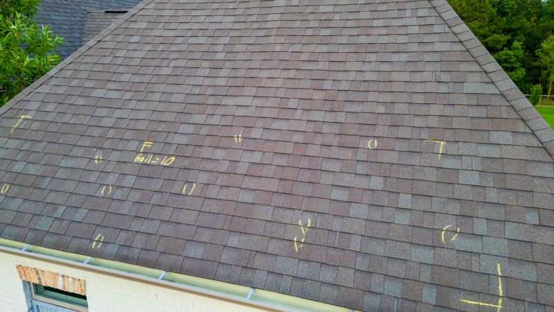 Asphalt Roof Inspection in Houston, DE