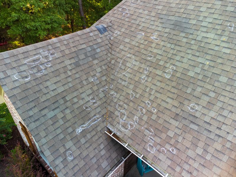 Asphalt Roof Inspection in Middletown, DE