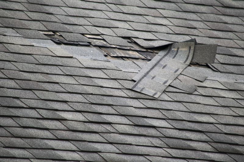 Asphalt Roof Leak Repair in Middletown, DE
