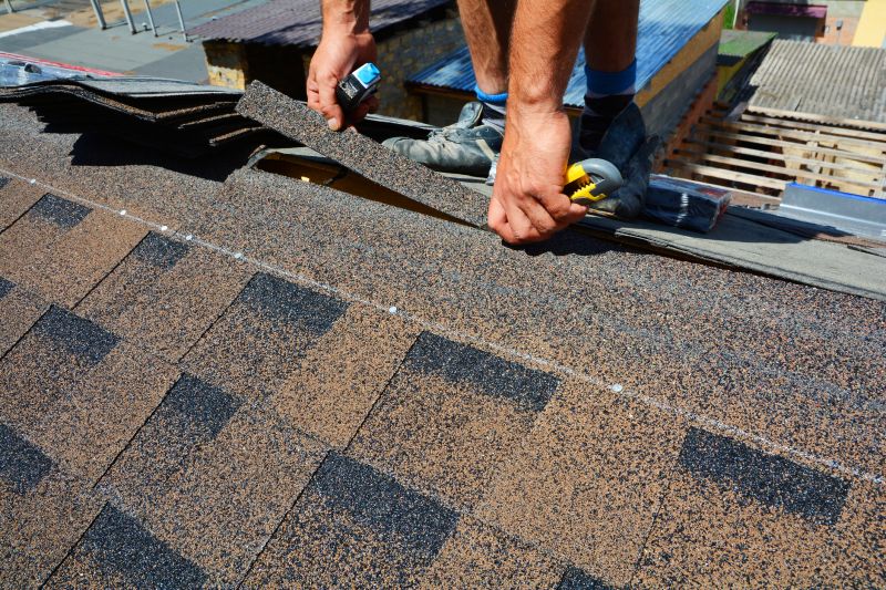 Asphalt Roof Repair in Camden Wyoming, DE