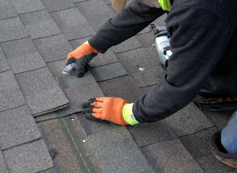 Asphalt Roof Repair in Harrington, DE