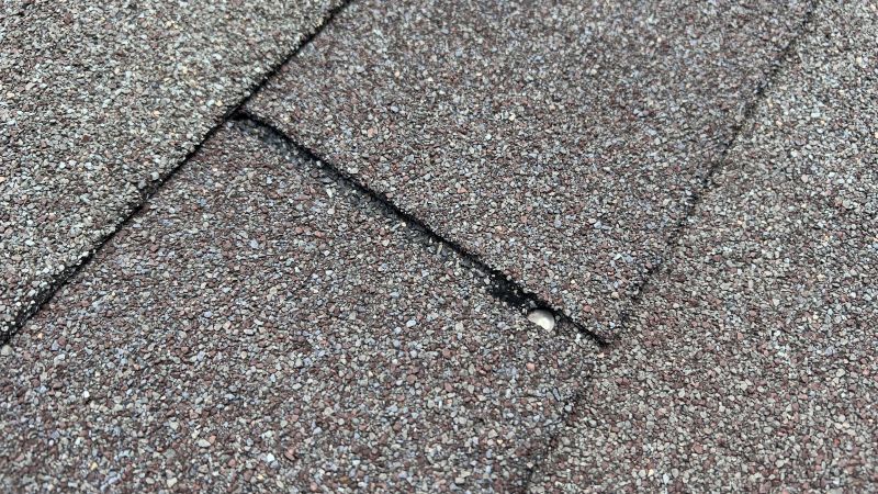 Asphalt Roof Repair in Magnolia, DE