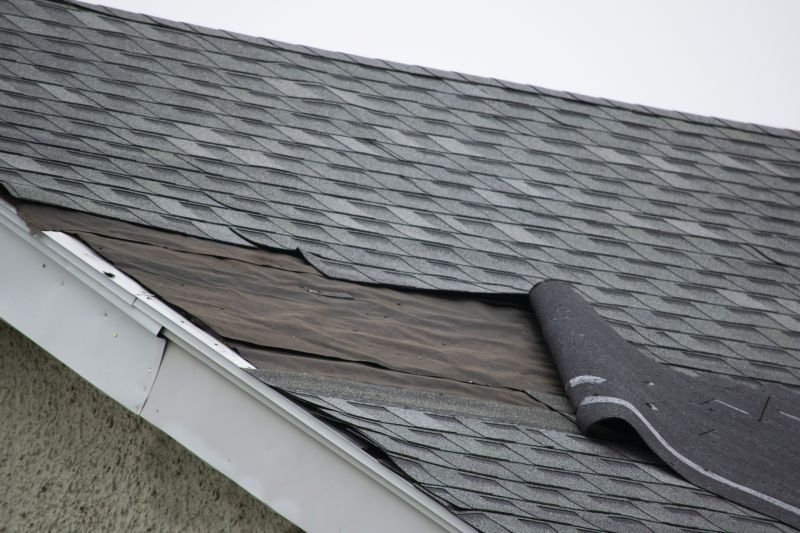 Asphalt Shingles Repair in Kent County, DE