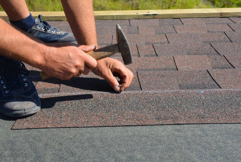 Asphalt Shingles Repair in Magnolia, DE