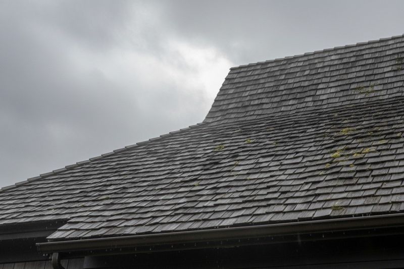 Cedar Roof Replacement in Denton, MD