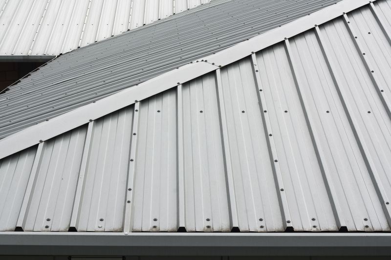 Corrugated Roof Repair in Denton, MD