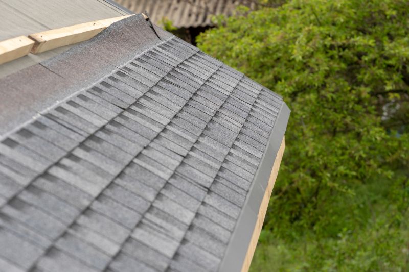 Damaged Roof Repair in Harrington, DE