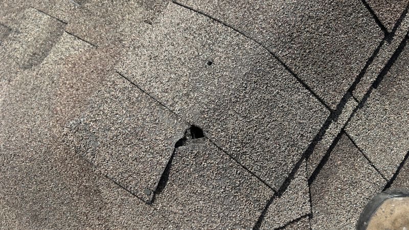 Damaged Roof Repair in Middletown, DE