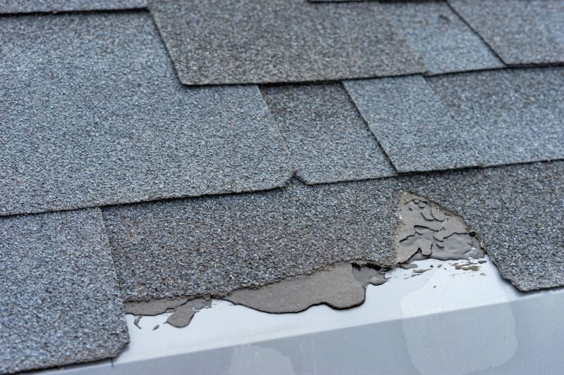 Damaged Roof Repair in Smyrna, DE