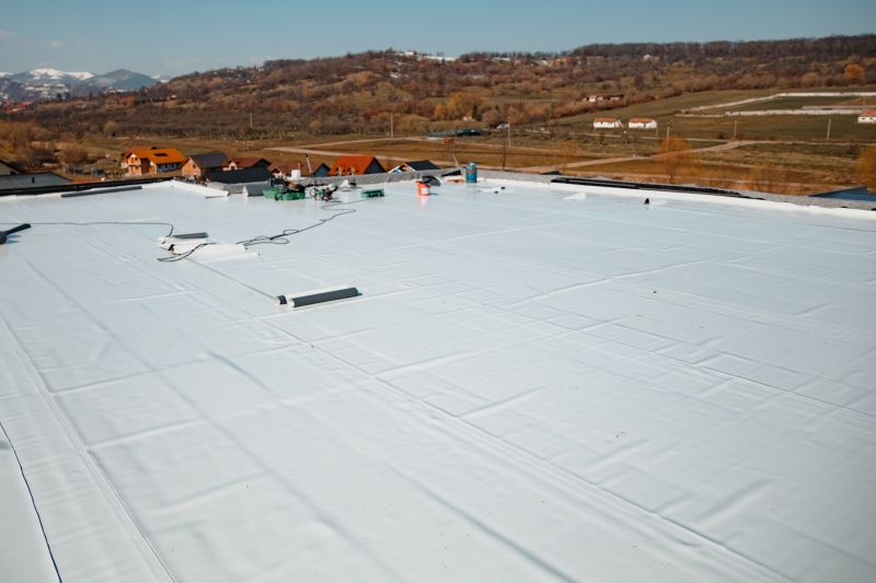 Epdm Roof Inspection in Kent County, DE