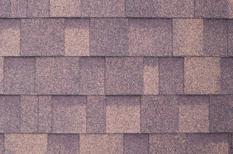 Fiberglass Shingles Repair in Kent County, DE