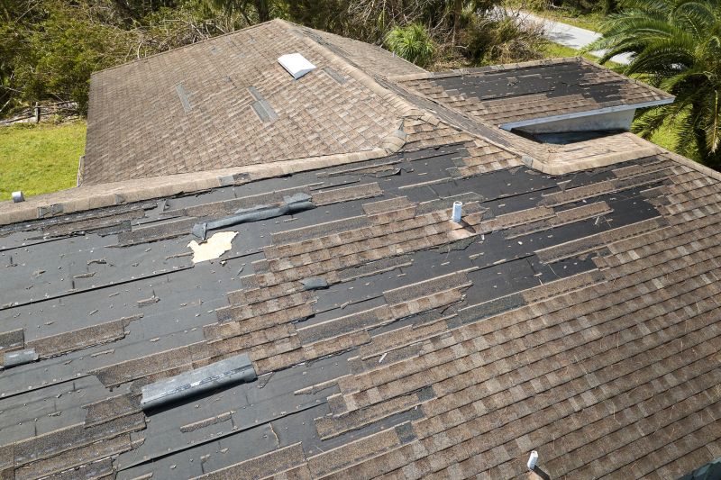 Hail Damage Roof Repair in Smyrna, DE
