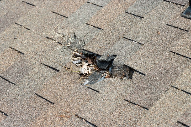 Roof Shingles Replacement in Ridgely, MD