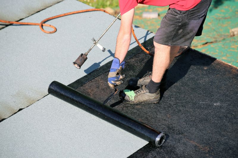 Roof Waterproofing in Viola, DE