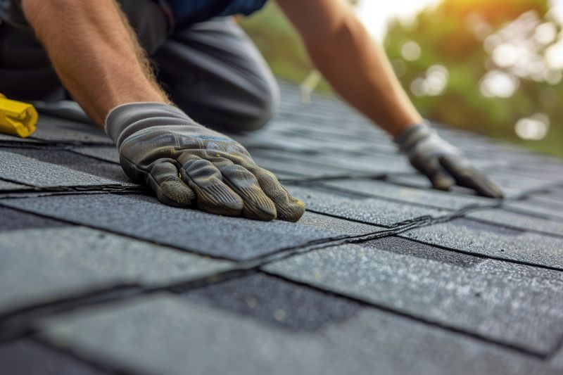 Shingles Repair in Denton, MD