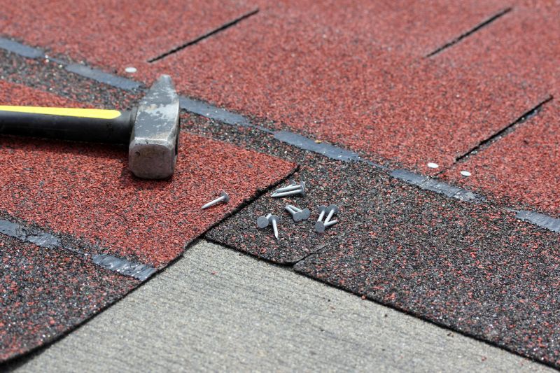Shingles Repair in Denton, MD