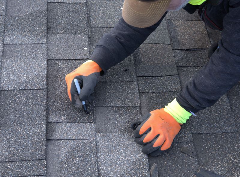 Shingles Repair in Magnolia, DE