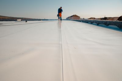 Single Ply Roof Repair in Camden Wyoming, DE