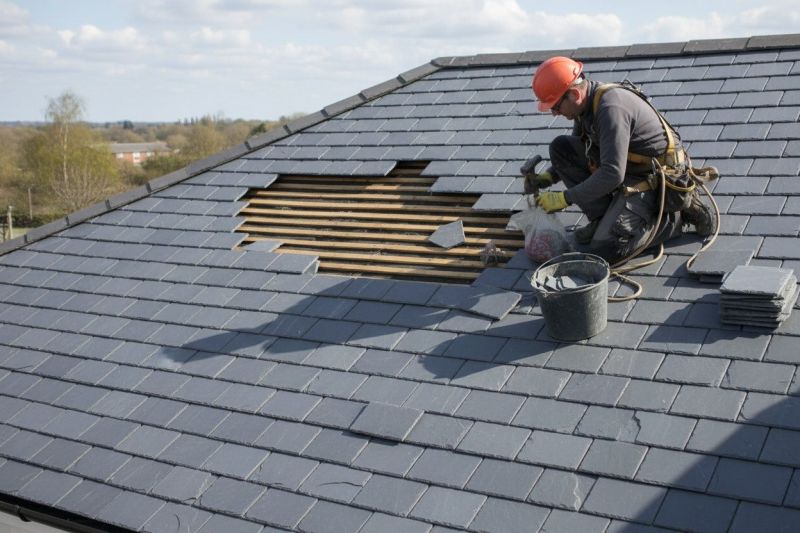 Slate Roof Repair in Houston, DE
