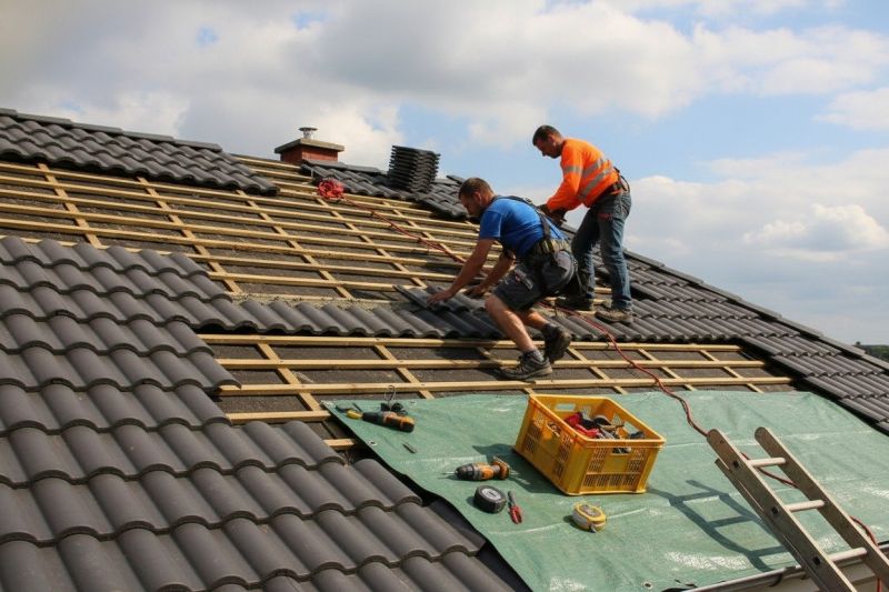 Spanish Tile Roof Repair in Kent County, DE
