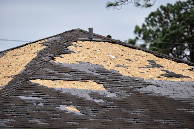 Storm Damage Roof Repair in Clayton, DE