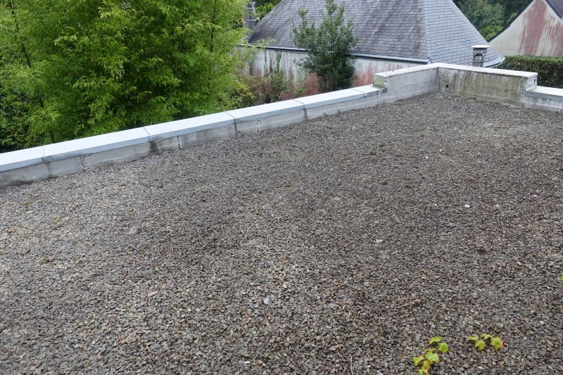 Tar And Gravel Roof Repair in Townsend, DE